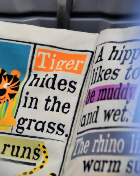 A book reads "Tiger hides in the grass."