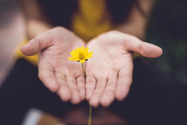hands around a flower