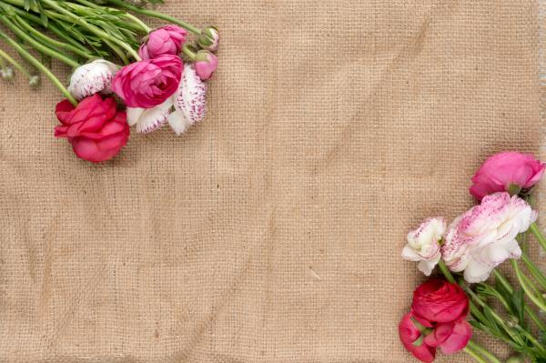 Spring flowers on top of a burlap background