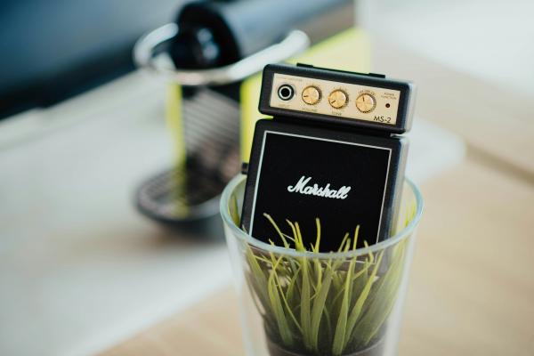 Tiny Marshall amplifier in plastic cup with grass