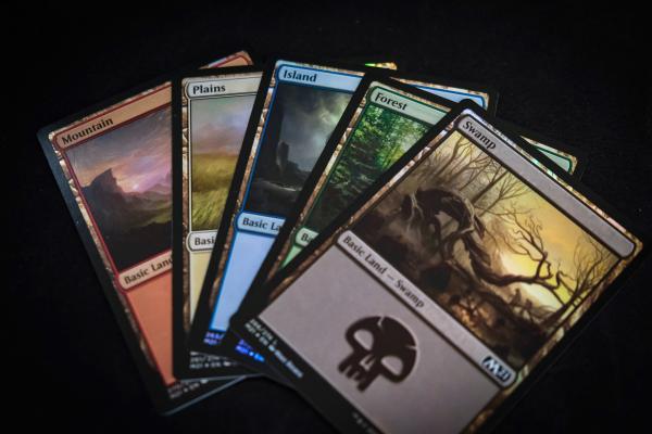 An image of the basic land cards from Magic the Gathering on a black background.