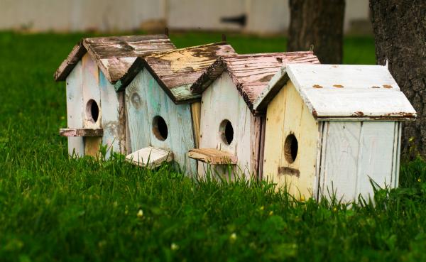 Image for event: Upcycled Birdhouses