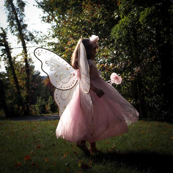 Young girl dressed in pink dress with fairy wings