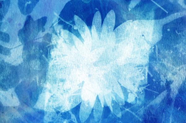 image of cyanotype sun print