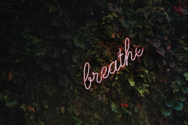 A pink neon sign reading "breathe" written in cursive and laid on top of dark leaves