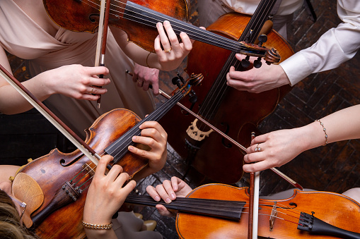 above view of hands playing four string instruments