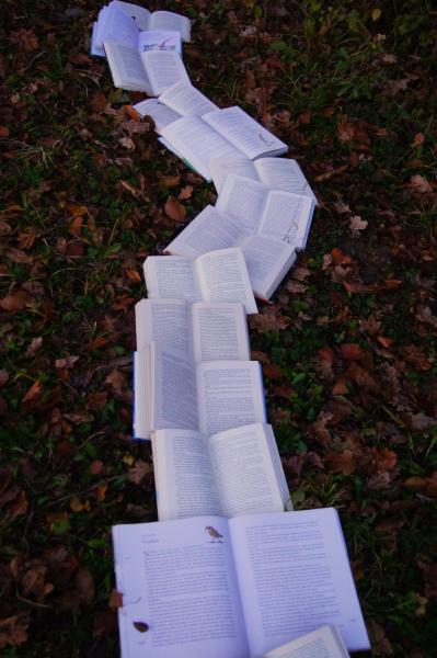 books in a line on the ground