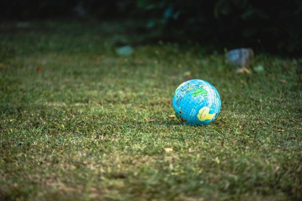 Image of small globe on grass