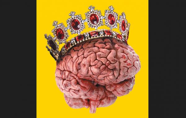 a brain wearing a crown with red jewels on it over a yellow background