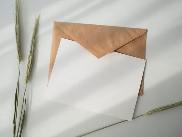 blank card with envelope and greenery