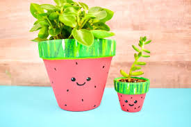 Image for event: Silly Face Planter
