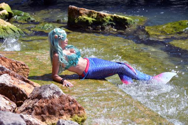 A mermaid sunbathing on the shoreline